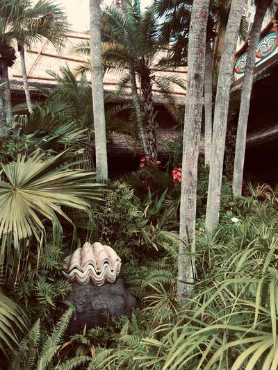 Giant prehistoric clam in the jungle outside of Walt Disney's Enchanted Tiki Room.